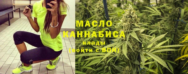 дмт Билибино