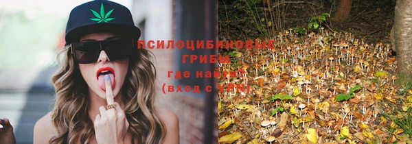 МДПВ Коряжма