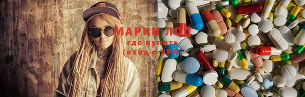 дмт Билибино