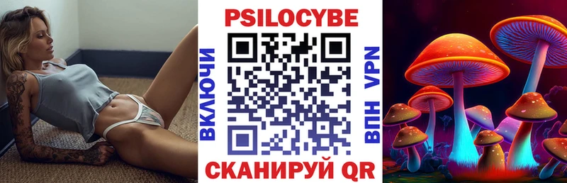 хочу наркоту  Мариинск  Псилоцибиновые грибы мицелий 