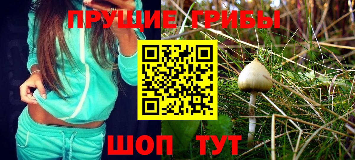 Псилоцибиновые грибы Cubensis  Галлюциногенные грибы прущие грибы  Мариинск  Вход с VPN 