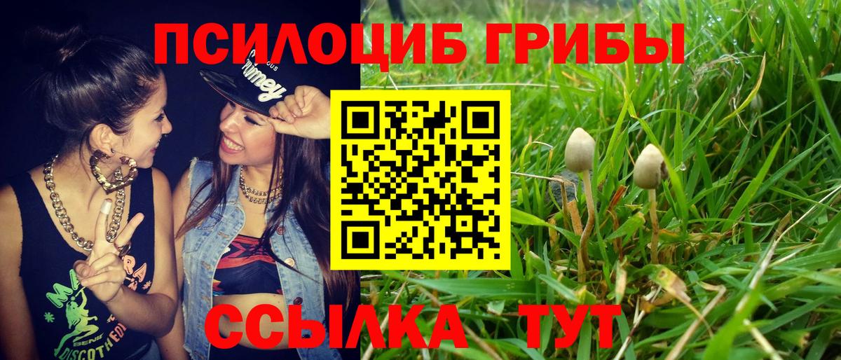 Галлюциногенные грибы Magic Shrooms Мариинск