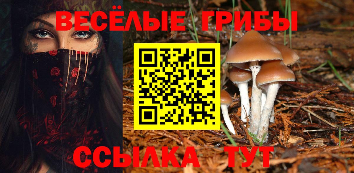 Галлюциногенные грибы ЛСД  Мариинск 