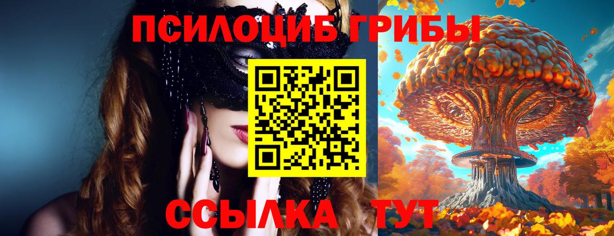 Псилоцибиновые грибы Psilocybe Мариинск